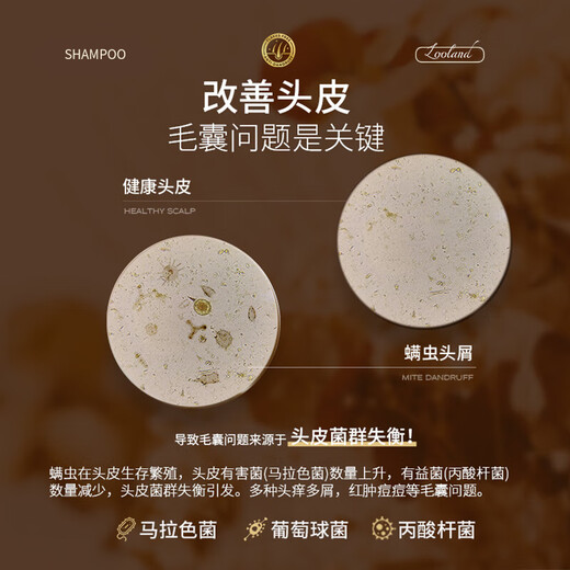 LD imported raw materials for men and women, hair follicle dandruff, anti-itch, oil control, fluffy, mite-removing cleansing shampoo, three bottles of family pack, a must-have for stocking up