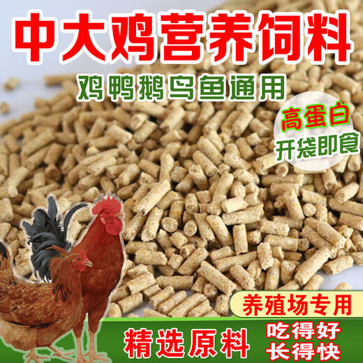Direct selling chicken feed for chickens, opening layer, egg laying, broiler and fattening pellets full price feed 40Jin Jin is equal to 0.5kg small pellet chicken feed