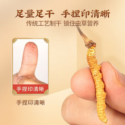 Wanlianwan Cordyceps Cordyceps Geschenkbox Geschenke Geschenke Cordyceps Health Tonics Geschenke für ältere 5 Sticks/Gramm 250 Gramm rot transparent