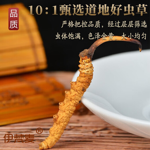伊梵麦【春节礼盒】冬虫夏草 正宗新货虫草头期虫草新鲜干虫草中药材 买40根送10根(共发50根)