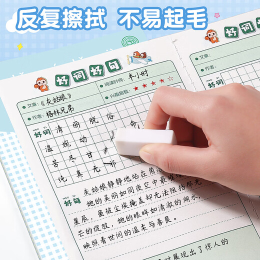 
Dile A5 Good Words and Sentences Reading Notebook Primary school students accumulate excerpts for Chinese language reading excerpts 32 special editions/4 packages B1050 Happy Squirrel