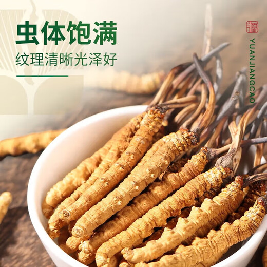 Yuanjiang grass Cordyceps sinensis New dried cordyceps tonics for parents and elders to nourish high-end gift boxes 3-4 roots/g 20 grams [Cordyceps king]