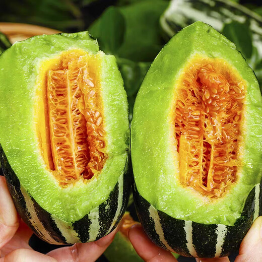Bomei No. 9 croissant honey melon seeds Boyang 9 flower skin green flesh thin skin sweet crispy balcony potted melon seeds 20 capsules Bomei No. 9 original, super high quality