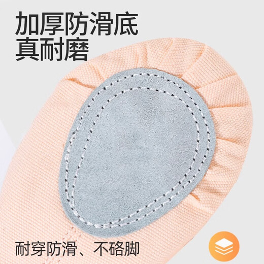 Zhiyou companion adult dance shoes, ballet professional practice shoes, women's soft sole, lace-free, children's dancing skin color body cat claw shoes