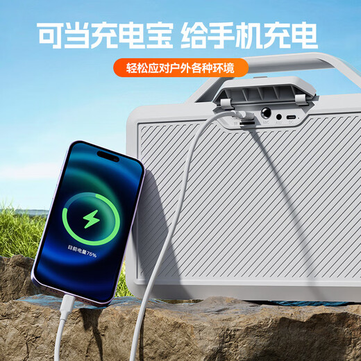 CLAISON音响蓝牙户外广场舞ktv音箱k歌麦克风功放一体机便携大音量家用商超手提高音质超长续航防水设计 超重低音【K歌版】+双麦克风