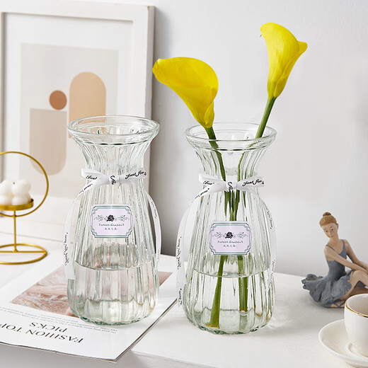 Shengshi Taibao glass vase vase dry flower gypsophila artificial flower container living room decoration ornaments transparent color 22cm