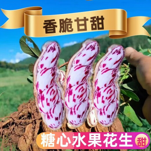 Candied Fruit Peanut Seeds Colorful Peanut Seeds Shelled Fresh Peanut Seeds Colorful Peanut Seeds Candied Fruit Peanut Seeds 200g Selected Belt