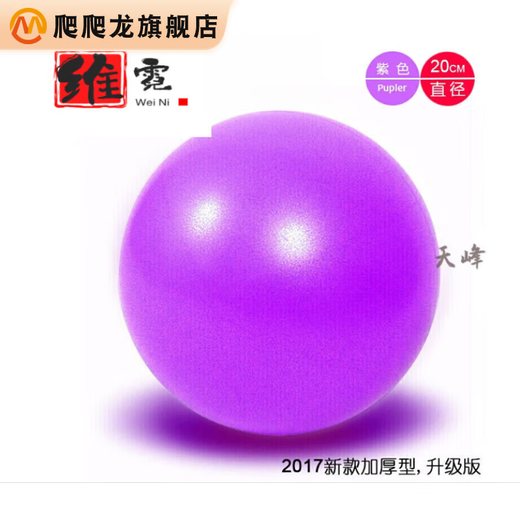 Climbing Dragon Mini Yoga Ball Pilates Ball 1520253040cm Balance Fitness Gymnastics Ball 20CM Green 15CM Purple 15CM Purple Thickened Pump