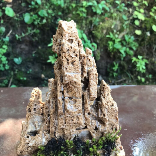 Water-absorbing stone bonsai rockery natural water-absorbing stone water-absorbing stone bonsai rockery bonsai strange stone original stone micro landscape construction height 15 cm does not include the pot with stones and moss