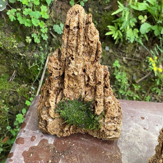 Water-absorbing stone bonsai rockery natural water-absorbing stone water-absorbing stone bonsai rockery bonsai strange stone original stone micro landscape construction height 15 cm does not include the pot with stones and moss