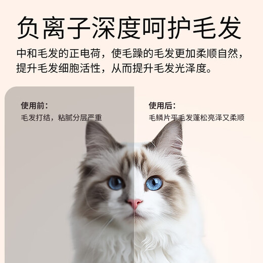 Pet Principal Pet Intelligent Dryer Cat Fully Automatic Dog Drying Box Silent Household Cat Hair Blow Bag Artifact Pet Principal Pet Intelligent Dryer Cat Fully Automatic Dog Drying Box Silent Household Cat Hair Blow Bag Artifact