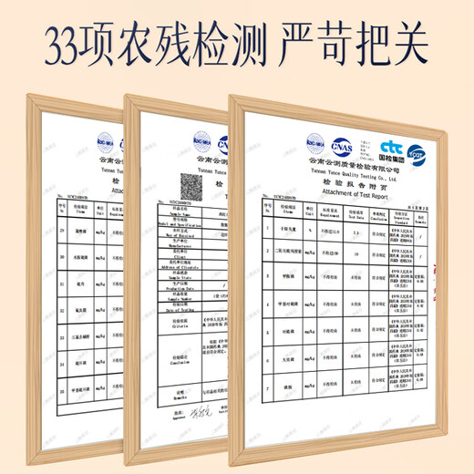 云南白药藏红花伊朗藏红花西红花全长红丝手工挑选番红花 【单盒】精选藏红花3g