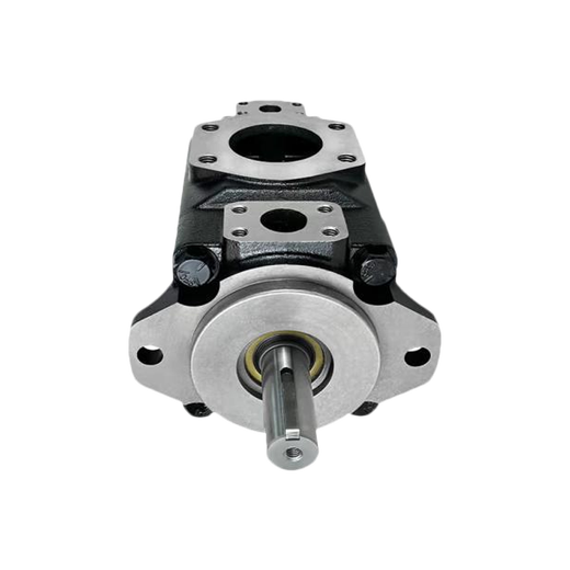 Biuyum hydraulic pump T6C-028-1R00-C1
