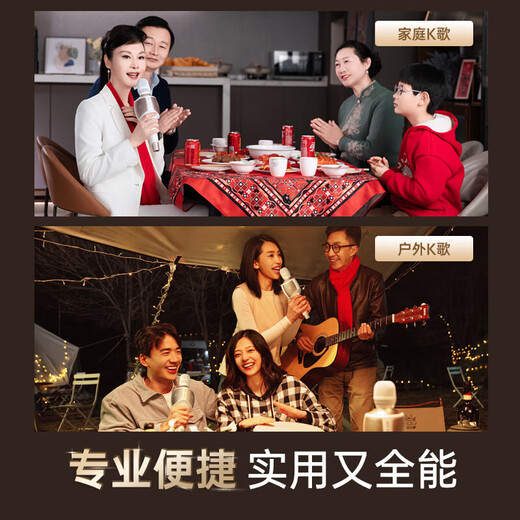 Charming Bird Big Sound Speaker Mic 60W Microphone Audio Integrated Microphone Home National TV K Song Car Singing Wireless Bluetooth Mobile Phone Live Recording Sound Card Equipment Set Big Sound Speaker Mic Flagship Deluxe Edition 3 Years Renewal + Luxury Gift Package