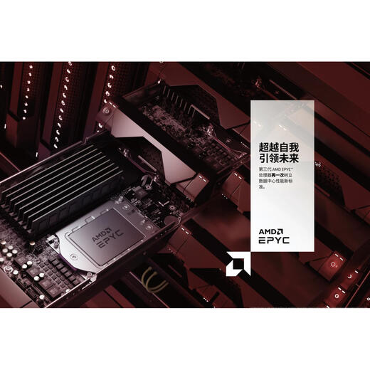 AMCAMD EPYC 9554/9654/9754/9555/9655/9755/9825/9845/9965 Personalización CP 9015 8/16/3.6/125W