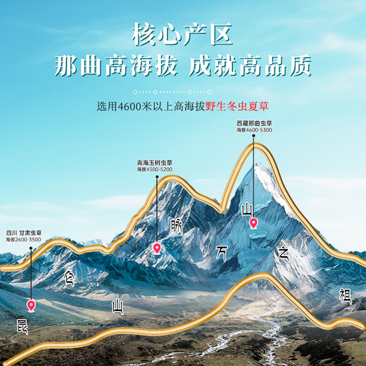 昭鹰之峰【野生】冬虫夏草 西藏那曲大号断草送父母送长辈 家庭滋补实惠装 中号断虫草 10克装【高性价比滋补】