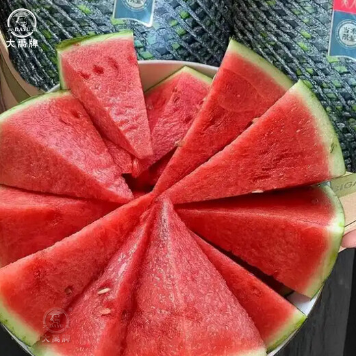Dayu Black Beauty Watermelon Seeds Extra Large Super Sweet Black Skin Watermelon Seeds Early Maturity Suitable for the South Big Fruit Black Beauty Watermelon Seeds 300 capsules/bag