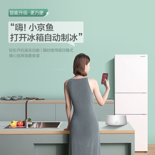 Panasonic/Panasonic JS30AX1-W/EC31AXB-W/TS30AX1-N automatic ice making level 1 303 liters quality tail goods NR-EC31AXB-W clear white 303 liters