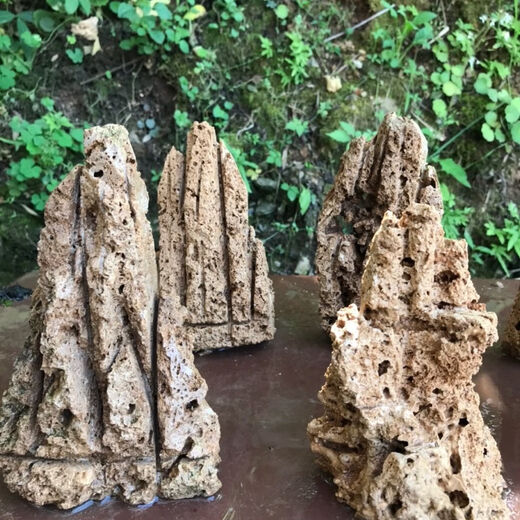 Water-absorbing stone bonsai rockery natural water-absorbing stone water-absorbing stone bonsai rockery bonsai strange stone original stone micro landscape construction height 15 cm does not include the pot with stones and moss