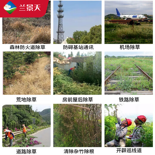 Orchidaceae cyclozinone herbicide, root rot agent, miscellaneous irrigation medicine, tree root rot removal agent, pesticide cyclozinone 200g/bottle J0011