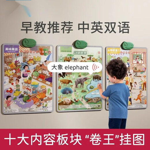 2025爆款宝宝有声早教挂图幼儿童拼音学习神器认知点读机婴儿 [思维认知两件套]英文+数字 3-6岁