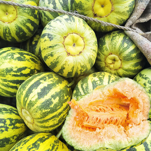 Beishu Bingtangzi Melon Seeds Collection Boyang Melon Seedlings Flower Skin Melon Seeds 100 capsules/bag