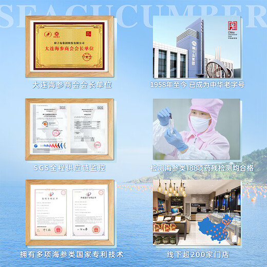 Zhangzidao Dalian ready-to-eat sea cucumber 1200g 21-30 pieces, more than 90% solid content, seafood and aquatic products gift box