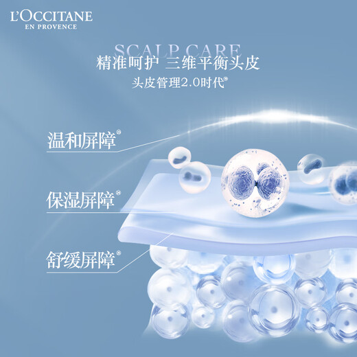 L'Occitane Herbal Balanced Hair Care Gift Box Set (Shash + Conditioner 500ml each) Shampoo Fluffy and Clean