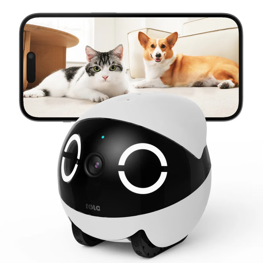 
Enable whole house mobile walking camera ebo companion robot remote remote control wireless surveillance camera rola mini pet companion toy robot ROLA Mini-32G (can be stored for 2-3 days)