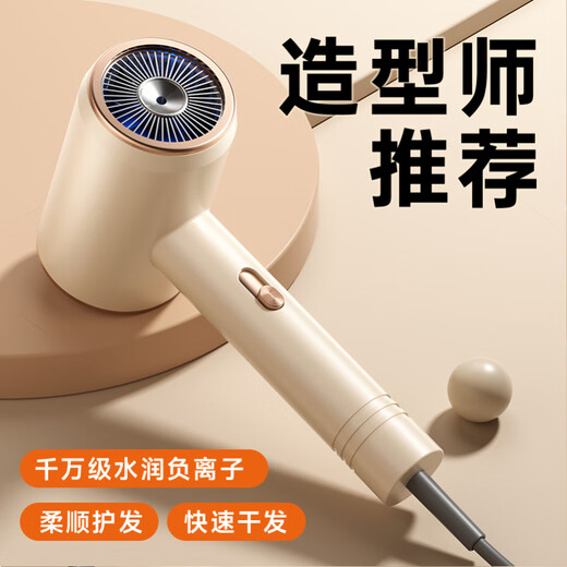 HXR飞利PHILPS浦电吹风同款吹风机家用负离子护发静音大风力速干发廊理发店专用冷热电吹风筒 【典雅米】【2400W】【9900
