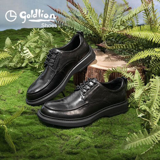 Goldlion Men's Shoes Urban Fashion Autumn Formal Leather Shoes Comfortable and Wear-Resistant Derby Shoes 50823024401A Black Size 40