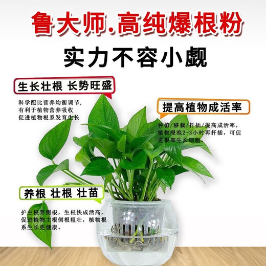 Master Lu's high-purity root blasting powder, medium element water-soluble fertilizer, fruit sapling, vegetable garden rooting powder, general gardening root blasting powder 500g*1 bag