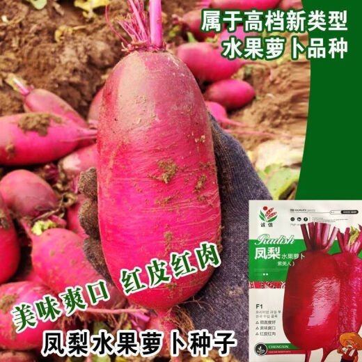 
[3341 pieces in 30 days] Pineapple fruit radish seeds raw Purple beauty radish Rouge radish seeds Summer four Premium original [1098 pieces] Five packs Fruit-type pineapple radish seeds (new seeds this year)