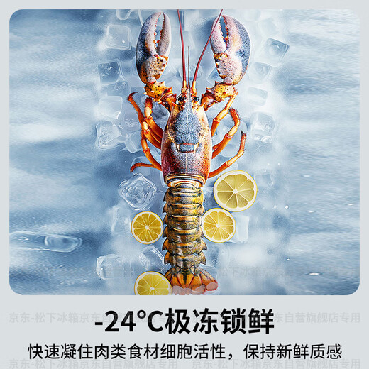 Panasonic Dolphin 458L Cross-Door-Kühlschrank, viertüriger Haushalt, ultradünn, eingebettet, luftgekühlt, frostfrei, energiesparend, erstklassige Energieeffizienz, NR-ED46CPA-W, nationale Subvention