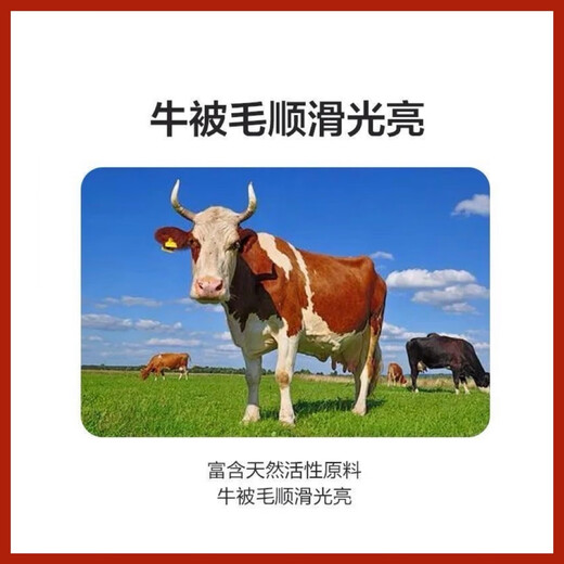 5% Cow Premix Dabeinong Core Technology Estrus Breeding Nutritional Lactation Prevention Postpartum Paralysis Buy 10 Get 1 Free Get 11 Packs