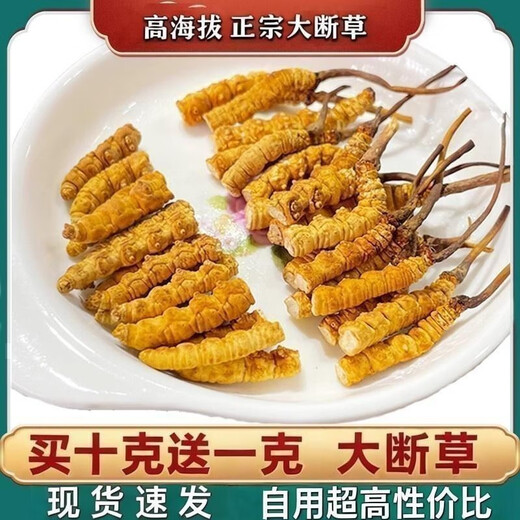 
Xina Tibet Que High-altitude Cordyceps Cordyceps Broken Grass Large bottles High-altitude Self-use authentic home outfits Tibet Naqu Broken Grass 50 grams pack 5 grams hair 55 grams