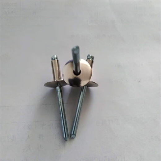 
Sanqihu custom 304 stainless steel hat brim van type car open core pull rivet Liuding Willow nail big brim round head pull nail half steel 4*20*12250 pieces