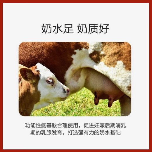 5% Cow Premix Dabeinong Core Technology Estrus Breeding Nutritional Lactation Prevention Postpartum Paralysis Buy 10 Get 1 Free Get 11 Packs