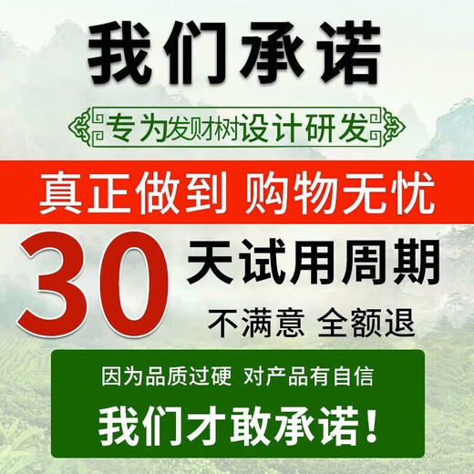 Aishangke Money Tree Nutrient Solution, the leaves turn yellow and fall off, the roots rot and the leaves fall off. Special fertilizer to promote roots, seedlings and sprouts without dilution. Buy 2 get 1 free. 3 bottles*500ml.