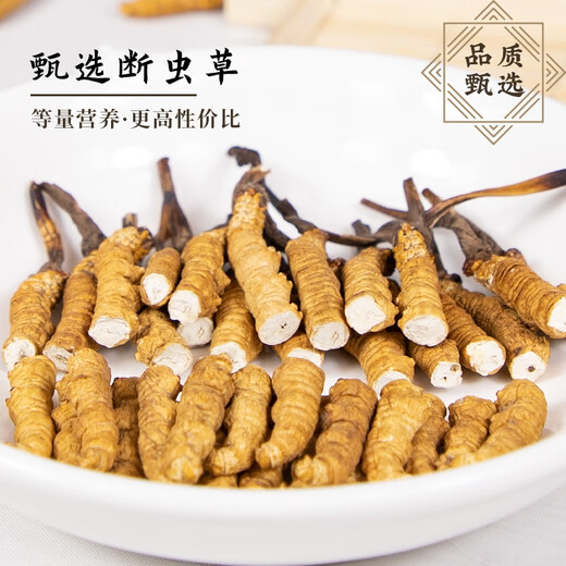 High-altitude Cordyceps sinensis in Tibetan areas, selected large-sized Cordyceps nourishing products, 10 grams of whole insect pure meat festival, fine whole insect meat festival [without grass head]