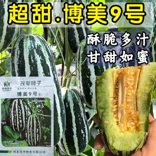Bomei No. 9 croissant honey melon seeds Boyang 9 flower skin green flesh thin skin sweet crispy balcony potted melon seeds 20 capsules Bomei No. 9 original, super high quality