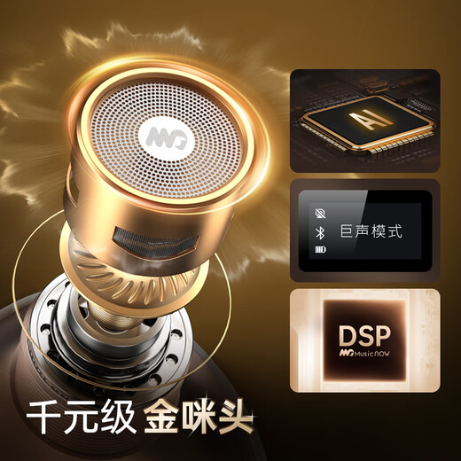 Meiniao Big Sound Speaker Mic, the same model for celebrities and internet celebrities, set, microphone and audio integrated home ktv wireless microphone, outdoor singing artifact, all-in-one live broadcast song recording, karaoke song, Big Sound Speaker Mic 60w Deluxe Edition + Companion Speaker