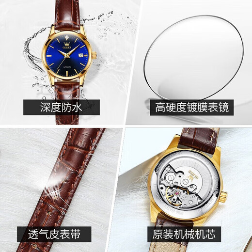 欧利时（OLEVS）品牌手表女士机械表简约气质女士手表夜光防水镂空镶钻时尚女表 6629升级加强版-棕皮蓝面女