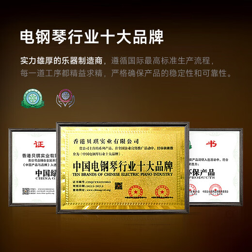 贝琪（Betsy）电钢琴88键成人儿童便携新手入门初学者电子钢琴-B877黑+Z支架