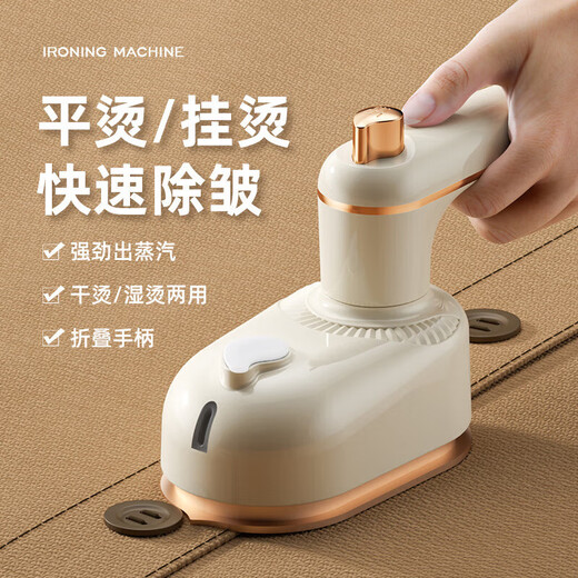 Fat Donglai Handheld Garment Ironing Mechanical and Electric Iron Mini Portable Direct Plug Electric Small for Business Travel and Travel Green-Flat Garment Ironing Dual-Purpose European Regulation