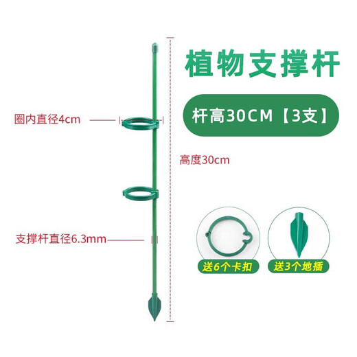 Shanghai Gardener Plant Support Pole Monstera Flower Support Frame Green Planting Gardening Vegetables Tomato Climbing Frame Prevent Lost Fixed Artifact 30cm/3 high roots 6 snaps + 3 floor inserts