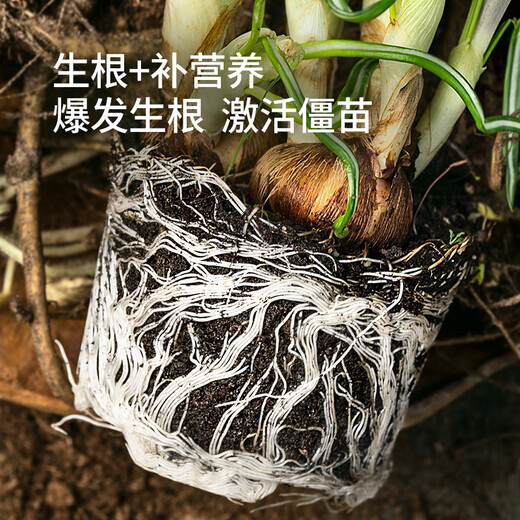 Stanley Rapid Rooting Powder Plant Universal Tree Transplanting Powerful Cutting Special 500g