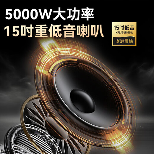 夏新（Amoi）ok-35 36家庭ktv音箱套装2025年新款家用户外点唱机卡拉ok功放一体机广场舞音响带显示屏 15吋重低音七分频音响