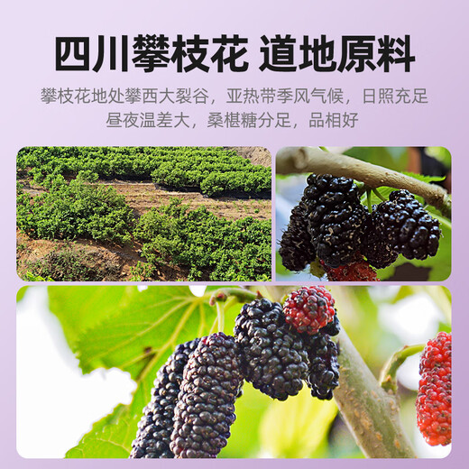 杞里香红枸杞子桑葚干组合500g宁夏头茬特级枸杞黑桑椹干即食桑葚子泡水