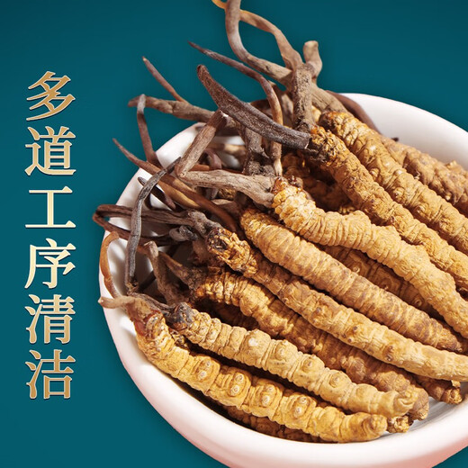 内廷上用北京同仁堂冬虫夏草1g整根粗壮官方旗舰店正品头期虫草干货滋补